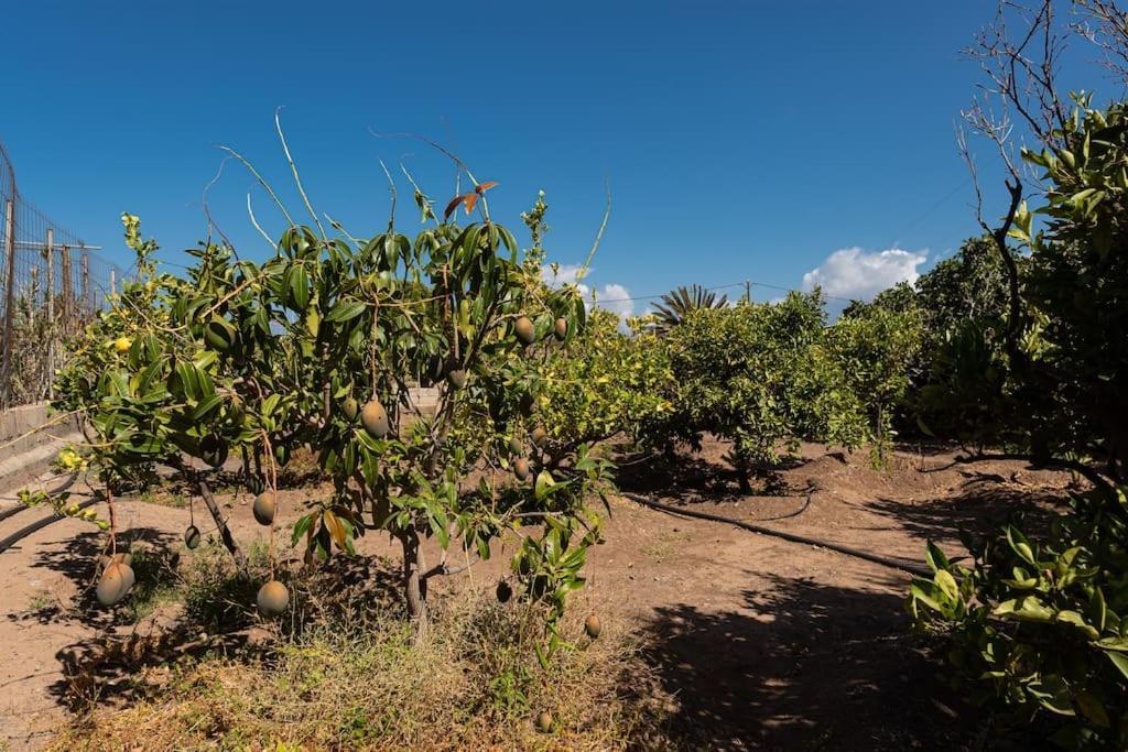 Vivienda Vacacional Ca' Pepita Y Jose El Albercon ภายนอก รูปภาพ