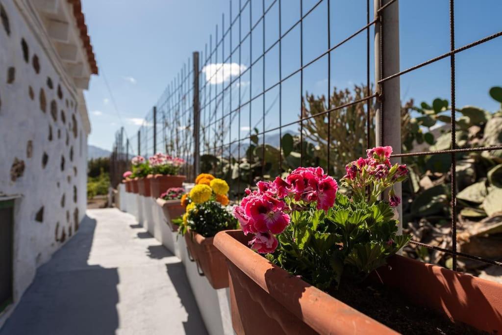 Vivienda Vacacional Ca' Pepita Y Jose El Albercon ภายนอก รูปภาพ