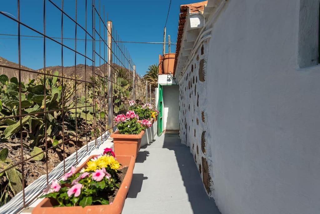 Vivienda Vacacional Ca' Pepita Y Jose El Albercon ภายนอก รูปภาพ