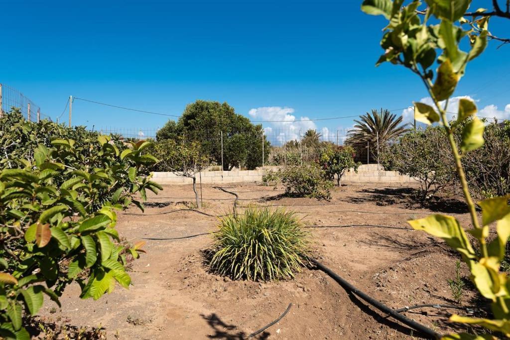 Vivienda Vacacional Ca' Pepita Y Jose El Albercon ภายนอก รูปภาพ